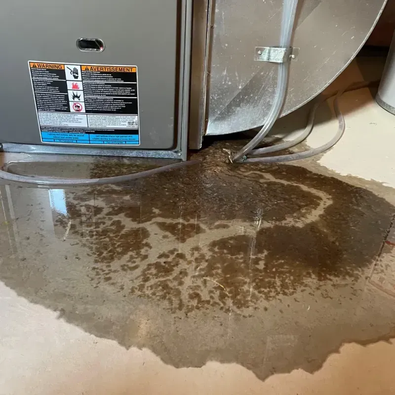 Appliance Leak Cleanup in Cotulla, TX